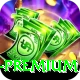 luck55 Gaming Premium